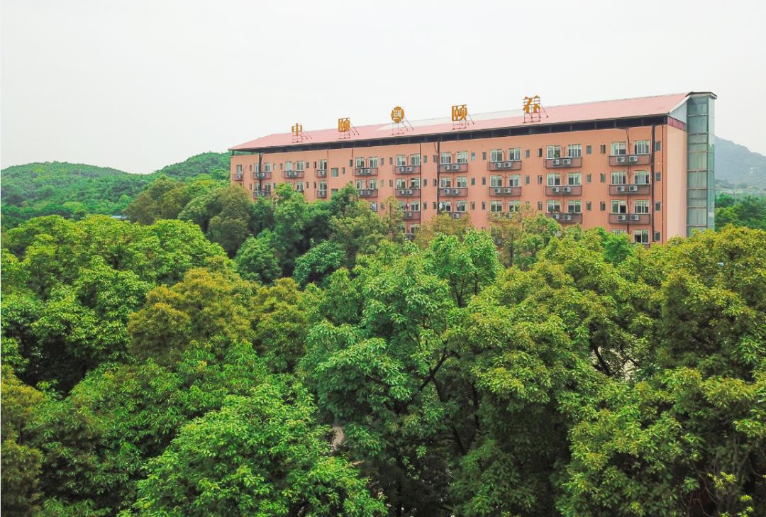 1585099764262034820.jpg 1585099764262034820.jpg