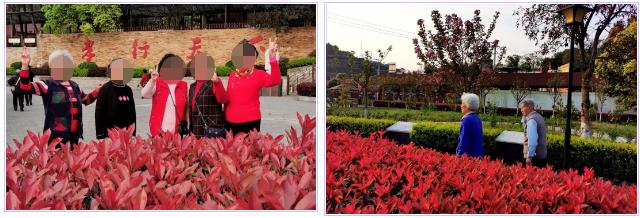 1585099820492063789.jpg 1585099820492063789.jpg