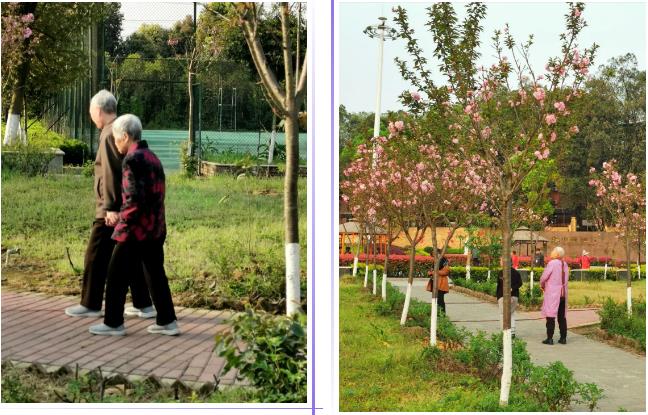 1585099833668052364.jpg 1585099833668052364.jpg