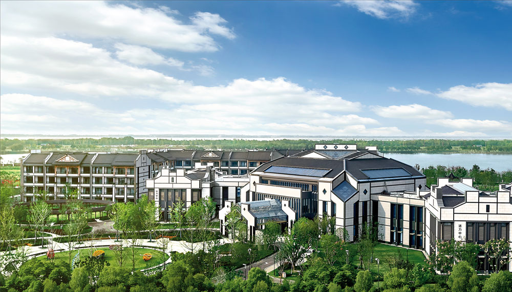 1585105295682094117.jpg 1585105295682094117.jpg