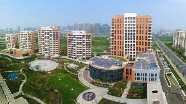 1585105378527063914.jpg 1585105378527063914.jpg