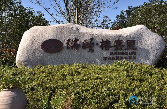 1585105414572042947.jpg 1585105414572042947.jpg