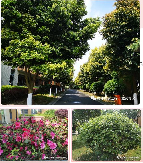 1586224350335038206.jpg 1586224350335038206.jpg