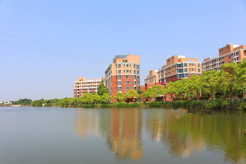 1587276072082082355.jpg 1587276072082082355.jpg