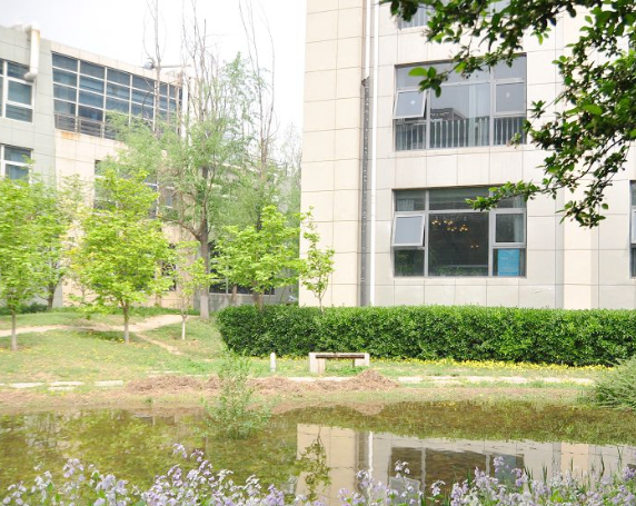 1588906520572087255.png QQ截圖20200508105149.png