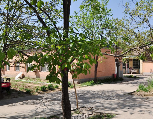 1588907178201088695.png QQ截圖20200508105956.png