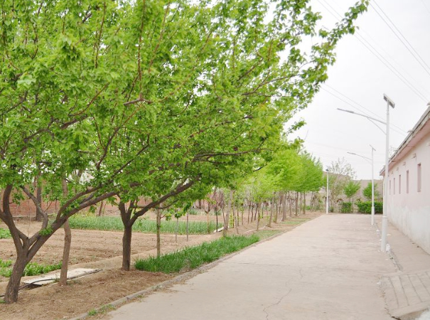 1588909526837000347.png QQ截圖20200508114329.png