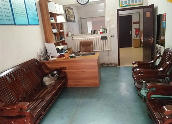 1591692295531039300.jpg 1591692295531039300.jpg