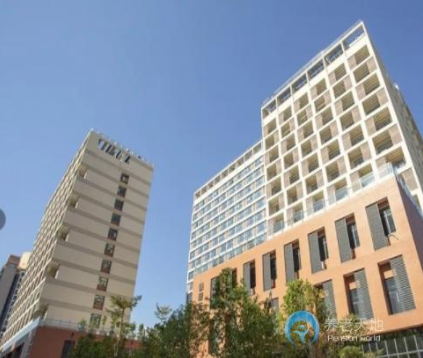 1603702093339012641.png 2.png