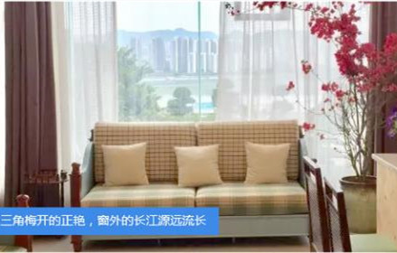 1605236138614032158.jpg 7.jpg