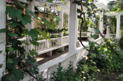 1606802499047050530.png image.png