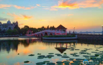 1606805977556002463.png image.png