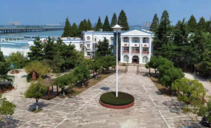 1606805995205075983.png image.png