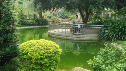 1606815298680086065.png image.png