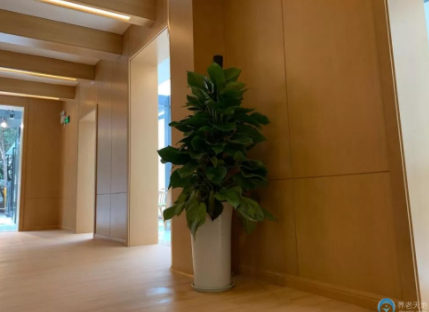 1606965469648057171.png image.png