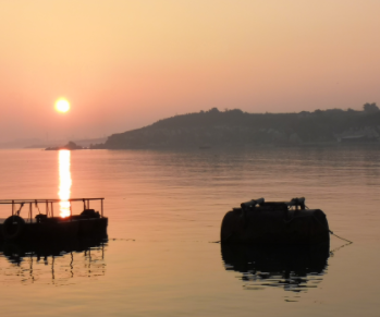 1607063007930087887.png image.png