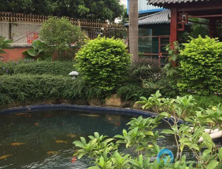 1608803122678099258.png image.png