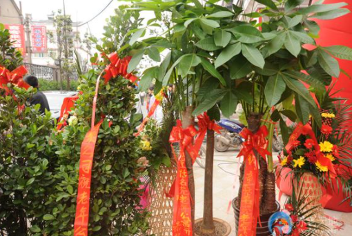 1608868692142089045.png image.png