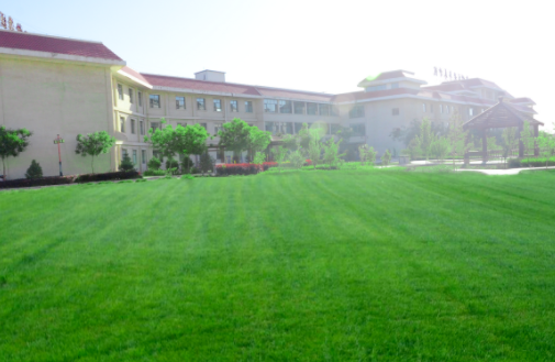 1609141007321049228.png image.png