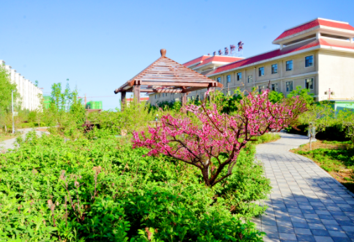 1609141018134009751.png image.png