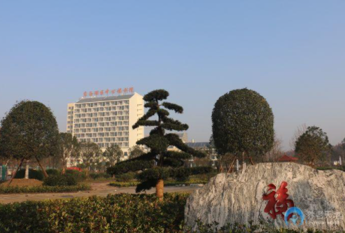 1609229712531057119.png image.png