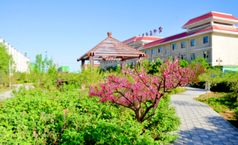 1609402076827095390.png image.png