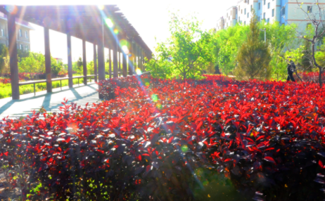 1609402087851059366.png image.png