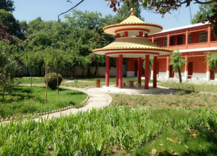 1609747906743028177.png image.png