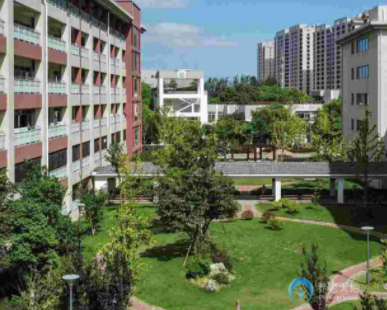 1610440643816028991.png image.png