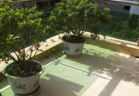 1610589796665071120.png image.png