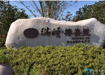 1610608551414034885.png image.png