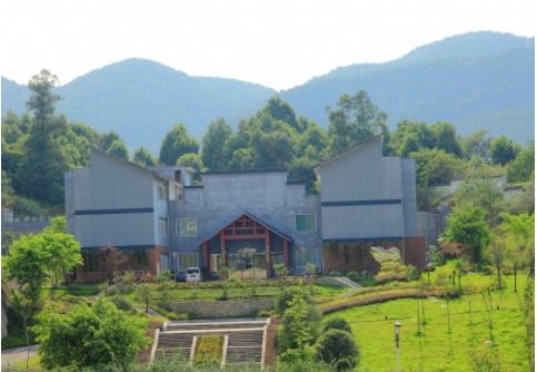 1610951834589016995.png image.png