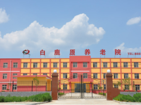 1611124619307024043.png image.png