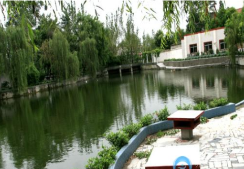 1611399664155069933.png image.png