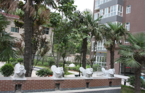 1611408092680034793.png image.png