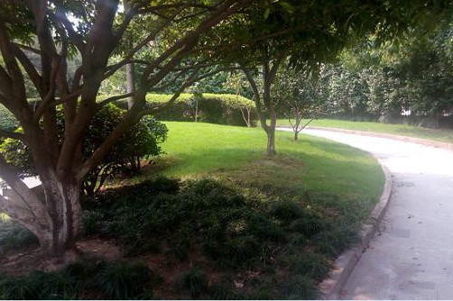 1611633959589054840.png image.png