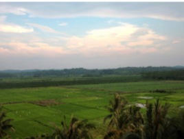 1611903567561045215.png image.png