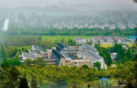 1612255618164017241.png image.png