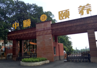 1612331684925050238.png image.png