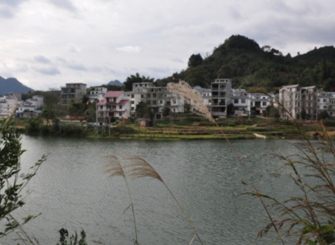 1615187479928010471.png image.png