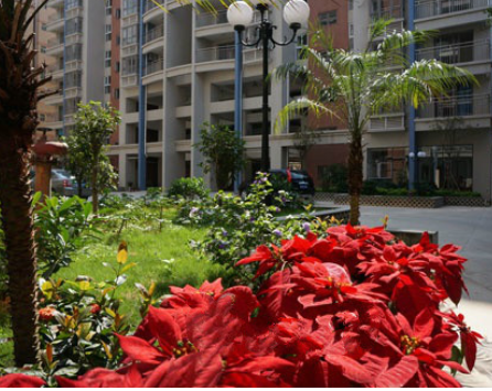 1615273738542087886.png image.png