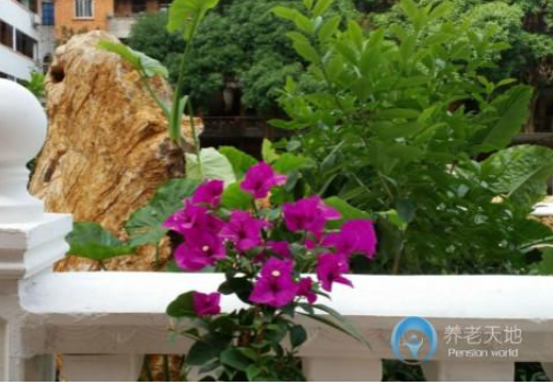 1615355914532078868.png image.png