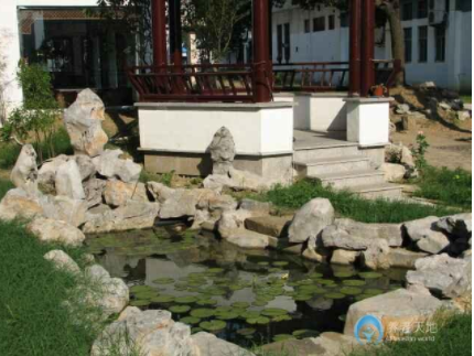 1619332776886021303.png image.png