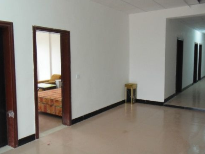 1620802225002057843.png image.png