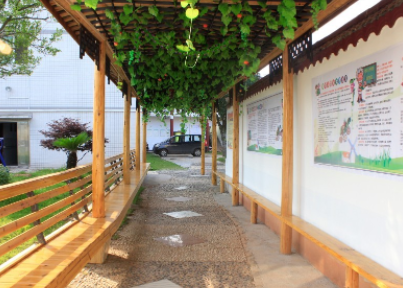 1623225936977082518.png image.png