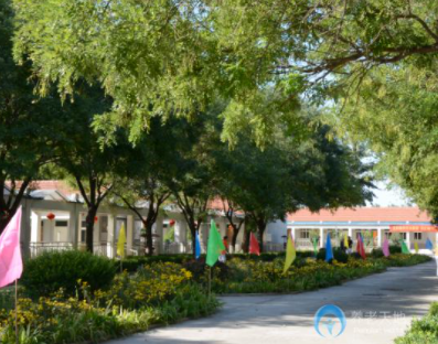 1623724216396061955.png image.png