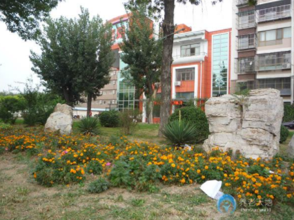 1623808872033058586.png image.png