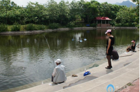 1623896483766063601.png image.png