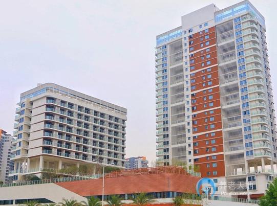 1625885543720095509.jpg 1625885543720095509.jpg