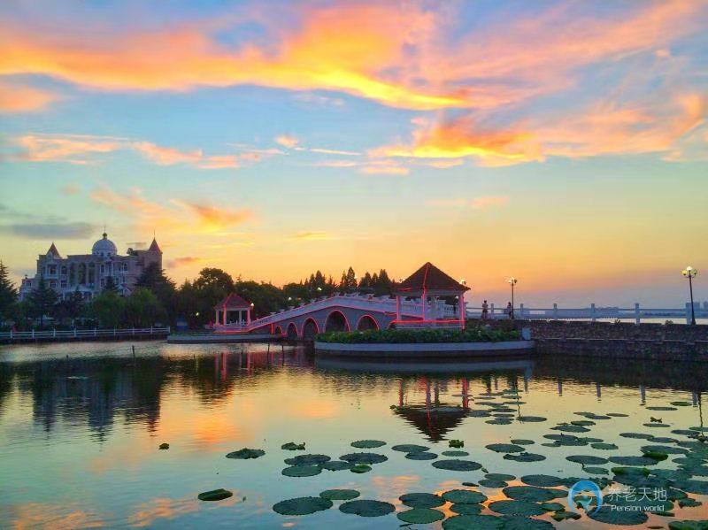 1626157220239029014.jpg 1626157220239029014.jpg